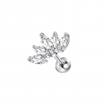 Star Heart Labret Piercing 16G Huuler&otilde;ngas Crystal Lip Helix Piercing Tragus Heart K&otilde;rvar&otilde;ngas K&otilde;hre naast keha Pircing Ehted Stud 1.2*6mm