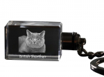 British Shorthair - Crystal pendant with cat photo, illuminated pendant, unique gift by Art-Dog brand