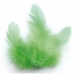 Plumes de coq - Vert clair
