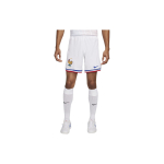Nike Dri-Fit Logo Triibulised Paelaga L&otilde;dvad Sirged Vabaaja L&uuml;hikesed P&uuml;ksid Meeste l&uuml;hikesed p&uuml;ksid Valge FJ4296-100 S