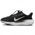 Nike Air Zoom Pegasus 41 EasyOn Must Photon Dust Valge Naiste Tennised Antratsiit FQ7844-002 39