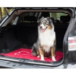 Paillasson Absorbant - DIRTY DOG - Dirty Dog Doormat - Gris - Antid&eacute;rapant - Microfibre hall