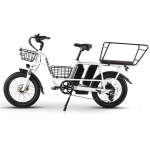 PHILODO Traveller Kahe Akuga Elektrijalgratas 750W 48V 17.5Ah*2 20*3.0 E-jalgratas Kaubakandur Lasteistmega H&uuml;drauliline Ketaspidur 45km/h PHILODO Traveller-YY