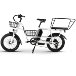 PHILODO Traveller T&auml;iskasvanute Elektriline Jalgratas 750W Mootor 48V35AH Topeltaku 20*3 Tolli Paksud Rehvid Elektriline Jalgratas T&auml;iskasvanute E-jalgratas Traveller-750W48V35AH-TT