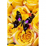 5D-teemantmaal, ristl&otilde;ikega t&auml;isnurkne/&uuml;mmargune vaiguga liblikas lillega pilt kivist teemanttikandiga kodukaunistus Full Round 20X30CM punane