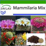 SAFLAX - Mammillaire Mix - 40 seemet - Potisubstraadiga paremaks kasvatamiseks - Mammilaria Mix