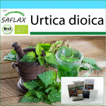 SAFLAX - Kingikomplekt - Orgaaniline - N&otilde;ges - 2000 seemet - Koos kinkekarbi, kaardi, etiketi ja potisubstraadiga - Urtica dioica