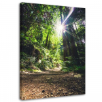 L&otilde;uendiprint Jungle Forest Nature Green 40x60 roheline