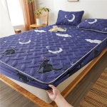 Paks voodikate Voodikatted Voodimadratsi kate Libisemiskindel voodikaitse kate k&otilde;ikeh&otilde;lmava elastse voodilinaga, paigaldatud lina ilma padjap&uuml;&uuml;rita 200x220cm Only A Sheet