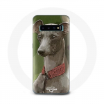 &Uuml;mbris Samsung Galaxy S10 Plus Greyhound Greyhound jaoks