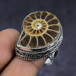 Ammonite Fossil Gemstone 925 Sterling Silver gift Jewelry Ring Size 8 w4w61