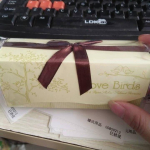 Ceramic Bird - Shaped Seasoning Bottle Gift Set in Exquisite Gift Box Creative Wedding Favors Coffee-colored Bow Ideal Souvenirs