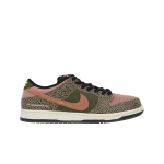 Arts-Rec x Nike Dunk Low SB Vabaaja Unisex Tossud Mitmev&auml;rvilised Khaki Merevaigukollane-Pruun IH3211-200 45 gray