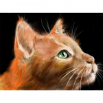 5D DIY Teemantmaal Loom Kass t&auml;isruudu mosaiik Rhinestone Ristpistes Teemanttikandid Liblikad Kodukaunistus Full Round 20X30CM punane