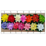 5 tk Kunstlik v&otilde;lts ujuv vesiroosi lille tiigi taim aia basseini kaunistus