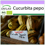 SAFLAX &ndash; Mahe &ndash; Suvik&otilde;rvits &ndash; Delicata &ndash; 6 seemet &ndash; Cucurbita pepo