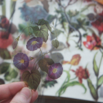 40 tk &Otilde;limaal Lillestiilis l&auml;bipaistev kleebis Scrapbooking DIY kingituste pakkimise silt Kingi kaunistuse silt