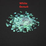 10g Inglise t&auml;hestiku litrid S&auml;ravad epoks&uuml;vaigust t&auml;idised Kirja litrid Glitter Resin Mold Silikoonist Ehted Tehingud