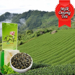 Kvaliteetne Taiwani piim Oolongi tee High Mountain Oolong Jin Xuan Organic