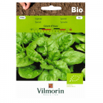 Spinat G&eacute;ant d'hiver Organic 10g - VILMORIN