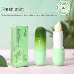 Huulepalsamikomplekt V&auml;rvitu Fade Huulejooned Toitev Mitterasvane Niisutav Niisutav Huulepalsam Fresh Mint*1