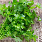 K&uuml;&uuml;slaugu petersell Gigante d'Italia k&ouml;&ouml;giviljad aeda 100g