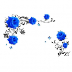 2/4/6/8/10 tk PVC mustriga DIY kaunistavad seinakleebised Lilledega eemaldatavad roosivin&uuml;&uuml;lkleebised magamistuppa