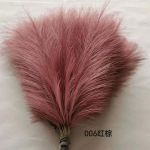 10/20 tk Kunstlik Pampamuru Simulatsioon Sulg Festival Pulm Rekvisiit Pilliroog Juuksed Kodu Kaunistus Ornament Lilleseade 20PCS