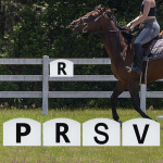 Koolis&otilde;iduareeni markerid Letters Professionaalsed spordi kaasaskantavad veekindlad talli treeningsein 4pcs