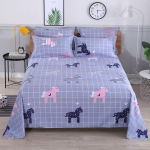 &Uuml;heosaline voodilina, P&otilde;hjamaade stiilis lihtne kaheinimesevoodi, 2 m x 2,3 m magamistuba, 1,6 m x 2,3 m 160*230cm