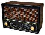 FESCO Shoka Raadio DX100 Muusikapleier raadioga AM/FM SRDX-001