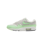 Nike Air Max 1 Essential Vapor Green Meeste Tossud Summit-White Photon-Dust Black FZ5808-107 42 white