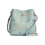 Coach Town 16 Lilleprindiga Kunstnahast Koppkott Naiste kotid Akva-roheline C8608-SVTYE Basic Set (Bag+Dust Bag)