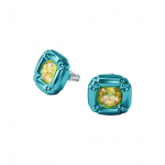 Swarovski Dulcis Kristallk&otilde;rvar&otilde;ngad Naiste k&otilde;rvar&otilde;ngad Sinine 5601588 Box (Random Color)