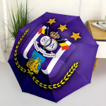 RSC Anderlecht Automaatselt Avanev ja Sulguv, 8-ribiline Struktuuriga Kaasaskantav Vihmavari, Sobib Meestele ja Naistele K&otilde;ikidel Hooaegadel T&auml;iuslik Kingitus