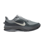 Meeste tossud Nike Air Zoom Pegasus Premium Wolf Grey Wolf Grey/Cool Grey/Anthracite/Sail 42.5 gray