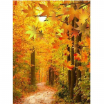 5D Teemantmaali Puu S&uuml;gis Mets Maastik Tikand Ristpistes 20X30CM