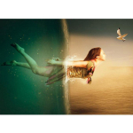 5D DIY teemantmaal Fantaasia Beach Girl ja Seagull teemanttikandid ristpistes 20X30CM