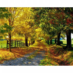 T&auml;ielik 5D teemantmaaling maastik Metsmosaiik tikandid Ristpistes Kodukaunistus K&auml;sitsi valmistatud 25x30cm