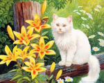 Daimond Painting Animal Teemantmaal T&auml;isristpistes Teemantmaal t&auml;ispuur 15*20cm