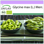 SAFLAX &ndash; Orgaaniline &ndash; Uba &ndash; Edamame &ndash; 8 seemet &ndash; Gl&uuml;tsiin