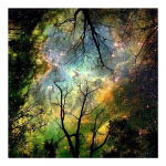 DIY 3D teemantmaal Forest Light Tikand Rist k&auml;sit&ouml;&ouml; Stitch Kodukaunistus Full Round 20x20CM