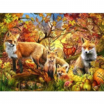 Teemantmaaling Loomade joonisfilm Fox 5D isetegemise mosaiik t&auml;isringi puur Teemantkivist teemanttikandid pildid Full Round 20x25CM