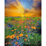 T&auml;ielik &uuml;mmargune 5D DIY teemantmaaling p&auml;ikeseloojangu maastik Pilt rhinestones teemanttikandist Full Round 20x30CM