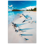 Les Tr&eacute;sors De Lily [A2863] - Toile photo 'Bords de Mer' bleu (plage) - 120x80 cm sinine