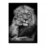 Aafrika l&otilde;vi pimedas seinas Kunst Plakatid ja v&auml;ljatr&uuml;kid Loomad L&otilde;uend Kunstpildid Nat&uuml;&uuml;rmortmaalid Kodukaunistus 50x70cm no frame