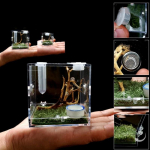 Roomajate &uuml;henduskast, v&auml;ikesed roomajad, l&auml;bipaistev akr&uuml;&uuml;l, putukate s&ouml;&ouml;tmiskast, terraariumipaak, FWEF-i katseheitgaas s-S