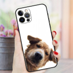 Funny Animal Cat koera&uuml;mbris Apple iPhone 11 12 13 Pro XS Max XR 7 8 Plus SE 2020 X 6 6S 5 5S Soft Shelli silikoonist telefoni kate iPhone 5 5S SE