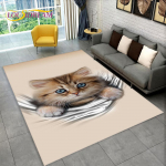 3D-armas kassi multifilmi vaip, vaibavaip kodu elutoa diivanile, k&ouml;&ouml;gi uksemati kaunistamiseks, Kid Play libisemiskindel p&otilde;randamatt 40x60cm(15x23in)