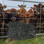 Hay Bag for Horse Easy to Hang Mesh Lightweight Space Saving Large Capacity Stall Trailer 80cmx60cm
